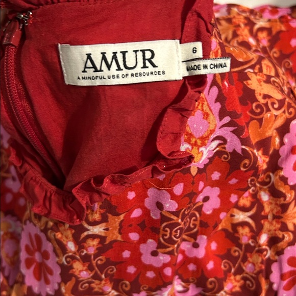 AMUR Codi Rosewood Kaleidoscope Paisley Floral dress - Picture 10 of 10